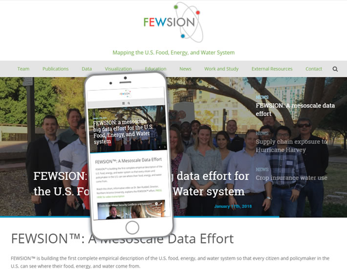 FEWSION.us screenshot