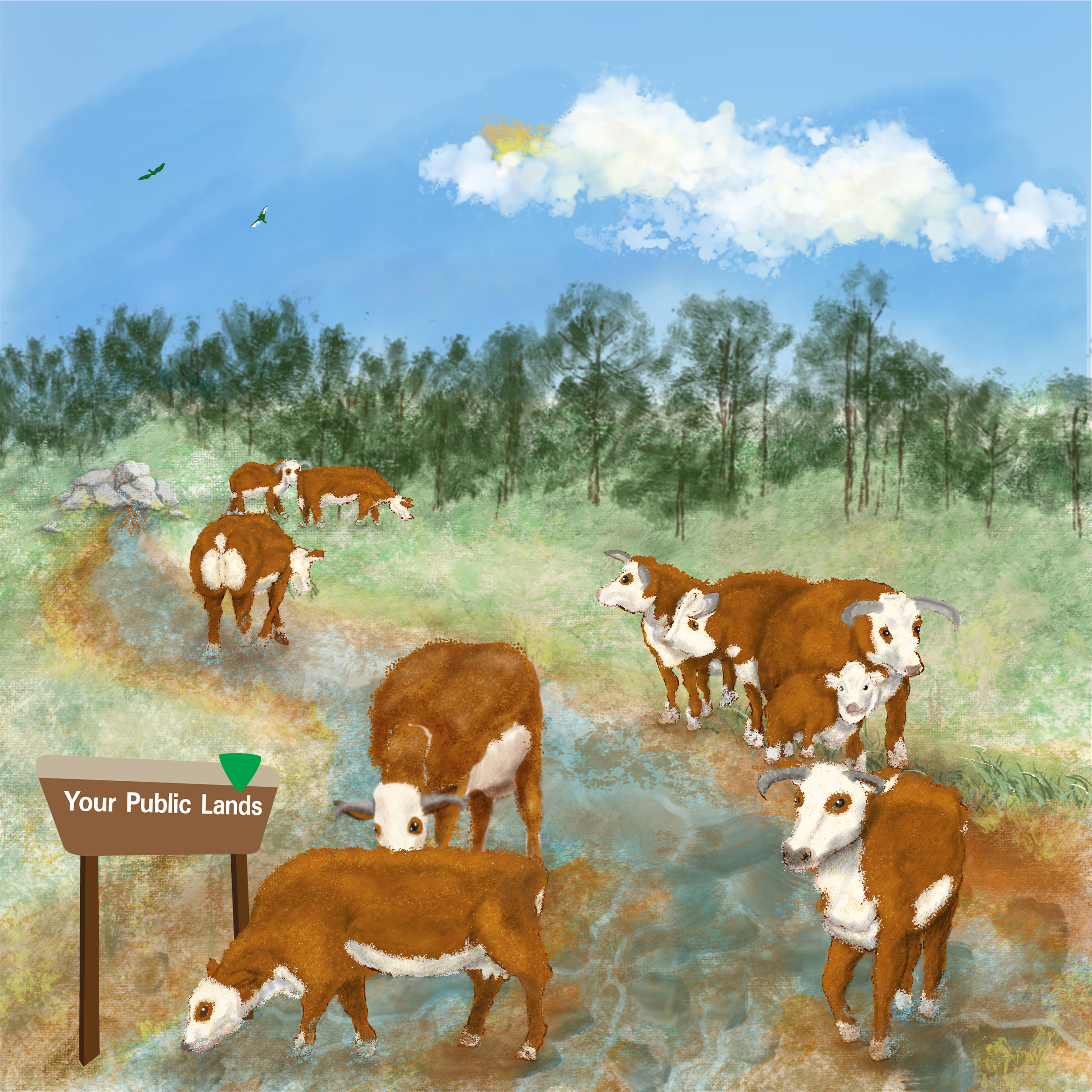 NIFA Illustration-Ranching Yes