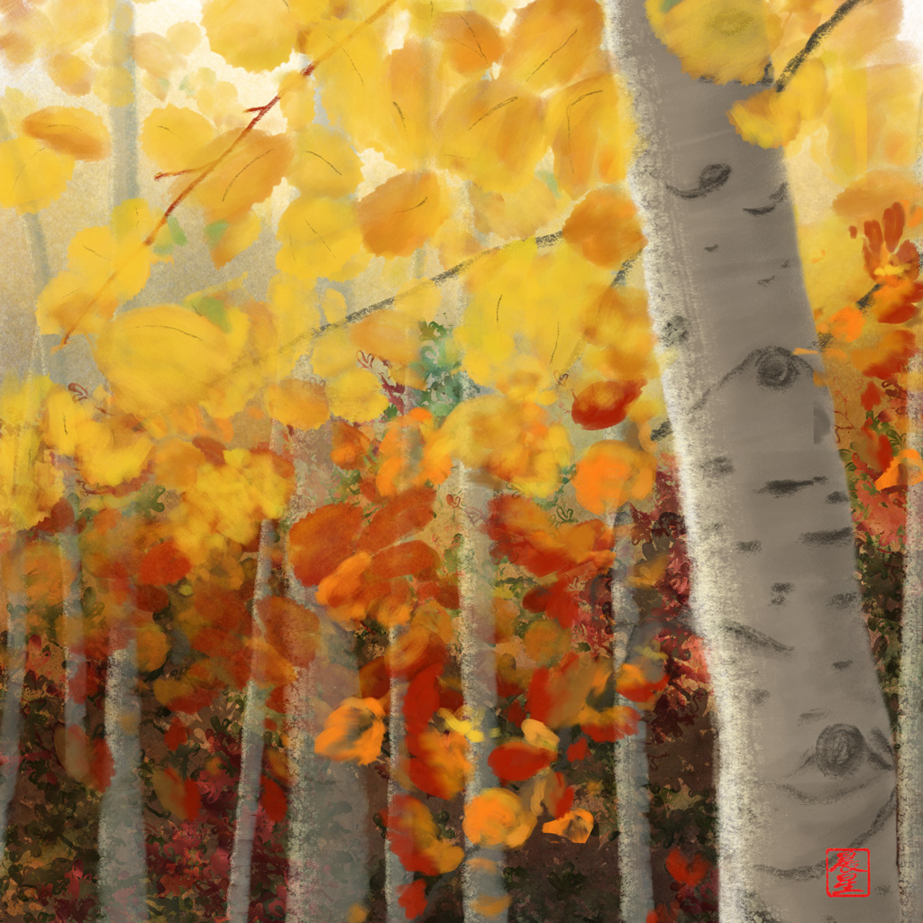 Aspens' Glow