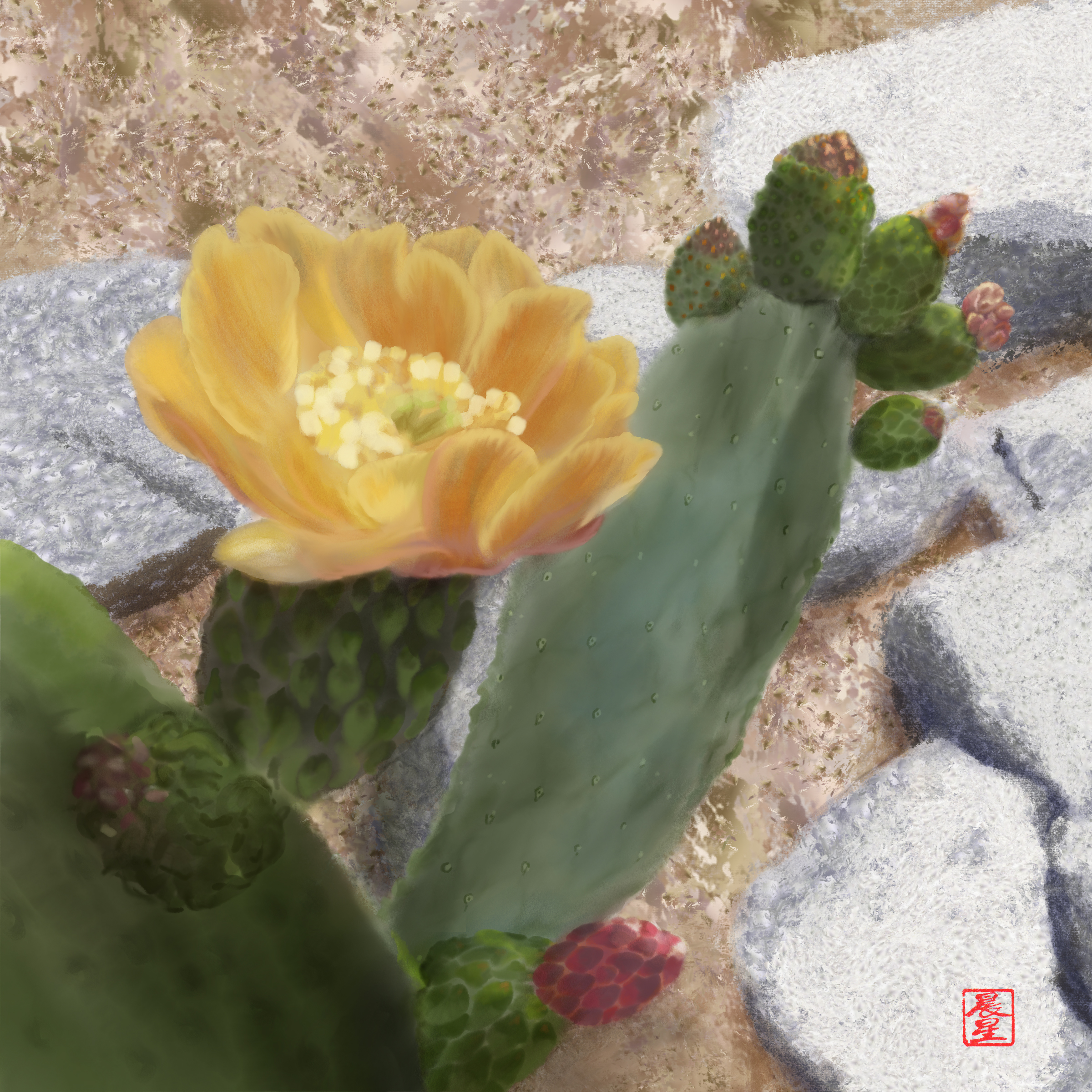 The Prickly Pear Cactus